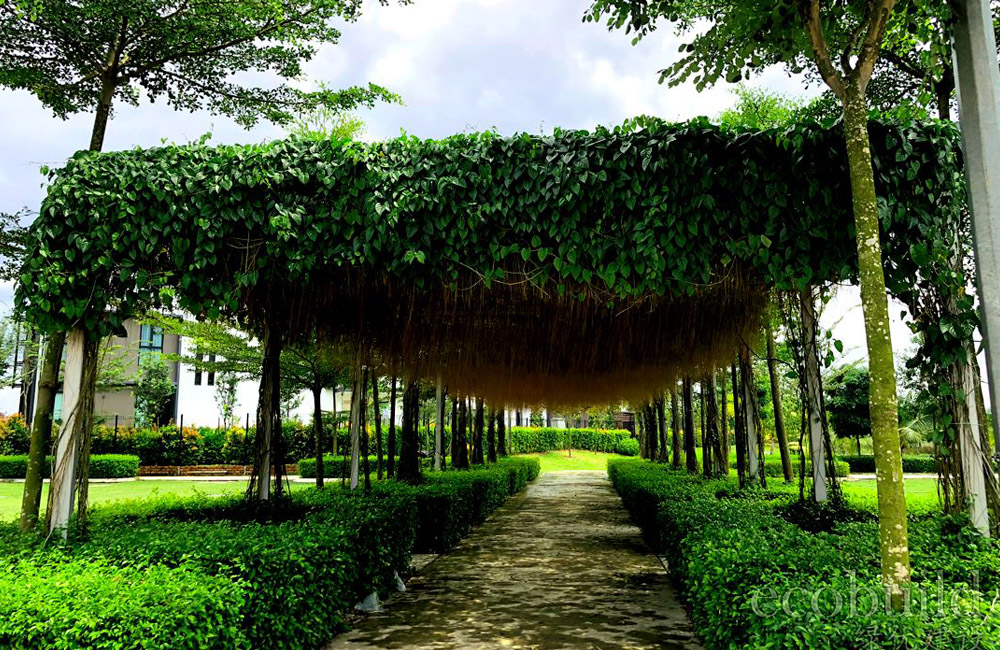 metal-pergola-naturally-beauty-with-curtain-ivy